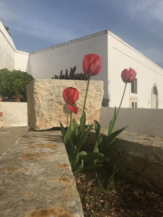 Masseria Rienzo Ostuni Eksteriør billede