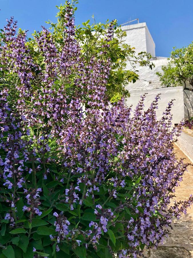 Masseria Rienzo Ostuni Eksteriør billede